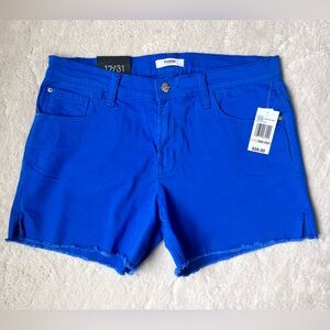 Kensie Royal Blue Frayed Hem Women's Shorts